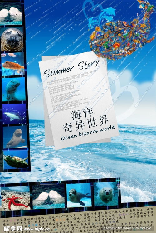 廣告設(shè)計 創(chuàng)意與策略的視覺融合